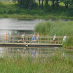 kids bridge