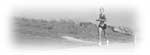 bw runner