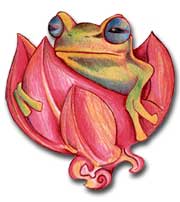 Mosquito Run Frog artwork